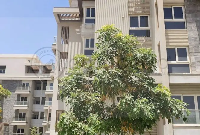 118795327 - Property Image 2