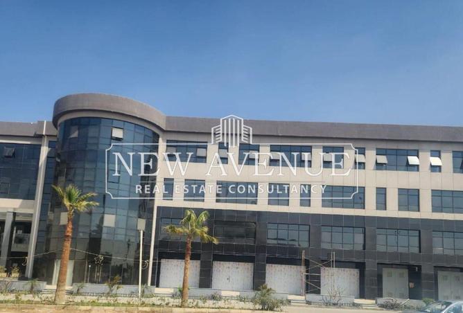 8593451 - Property Image 3