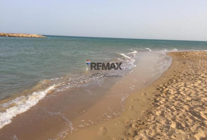 74312612 - صورة العقار 2
