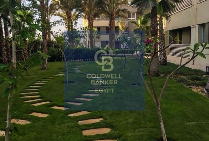 53976352 - Property Image 3