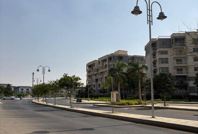 65656195 - Property Image 2