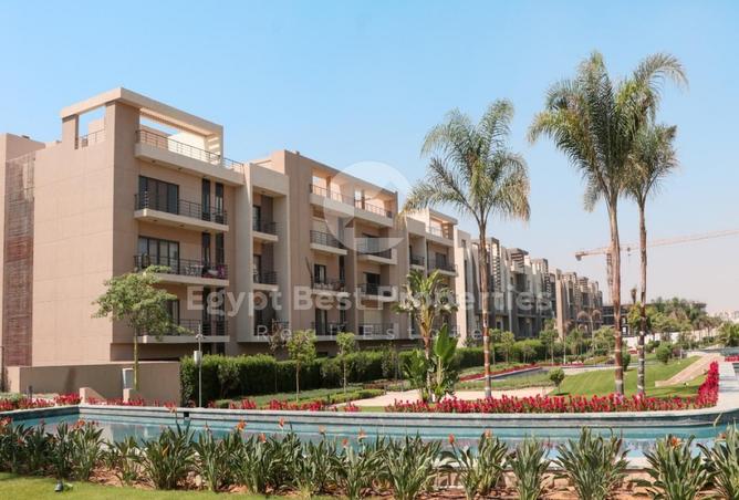 55505985 - صورة العقار 3