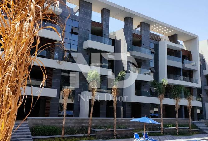 55747834 - Property Image 2