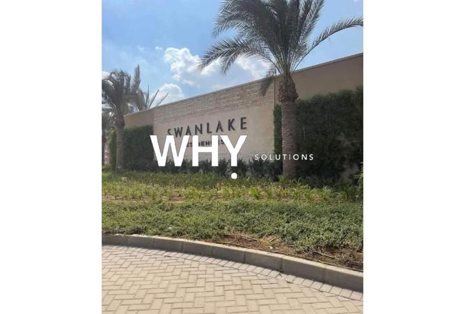 56495389 - Property Image 3