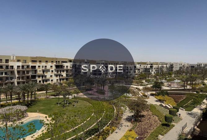 67222784 - Property Image 3