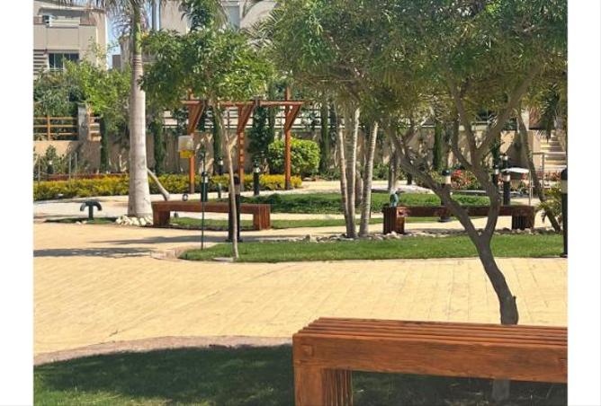 66437417 - Property Image 3