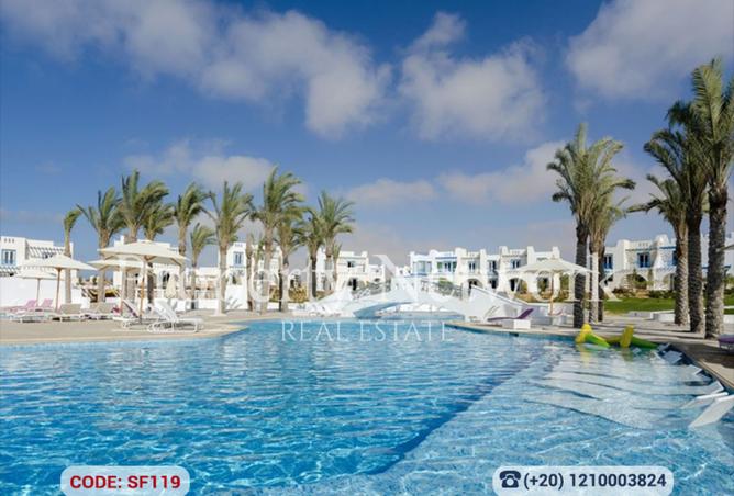 65659316 - صورة العقار 3