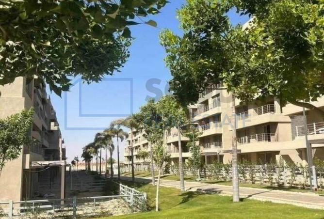 83662234 - Property Main Image