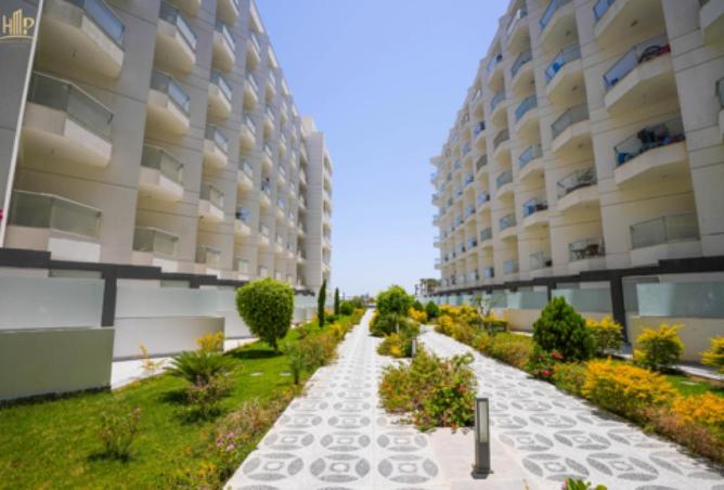 79449642 - Property Image 2