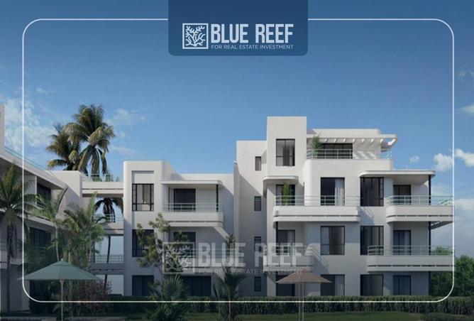 66702979 - صورة العقار 3