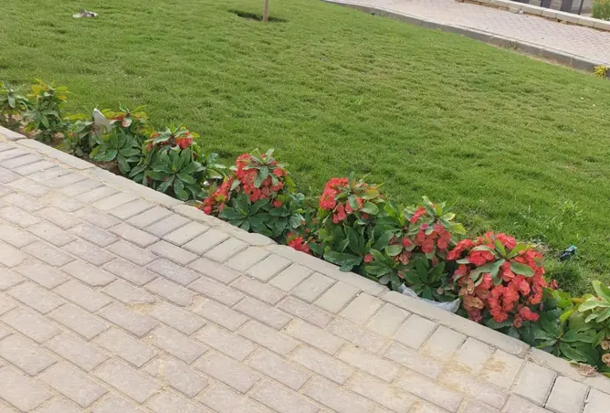 70375098 - صورة العقار 3