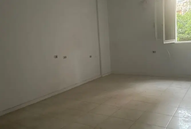 117786870 - Property Image 3