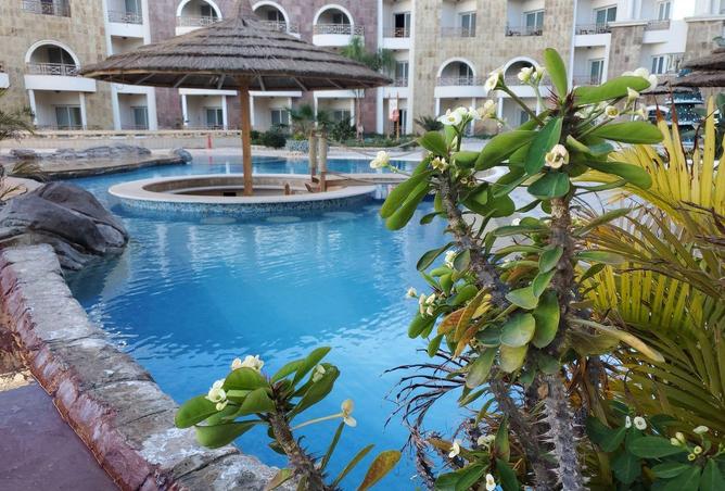 52712223 - صورة العقار 3