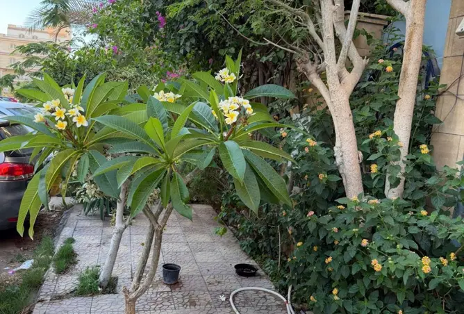 103753562 - Property Image 3
