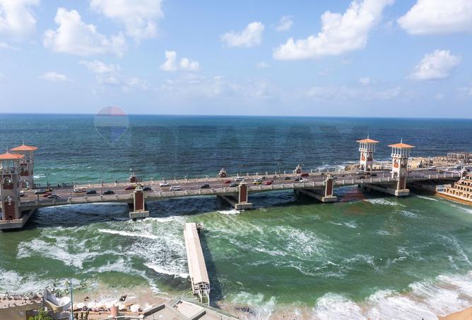 7974406 - صورة العقار 2