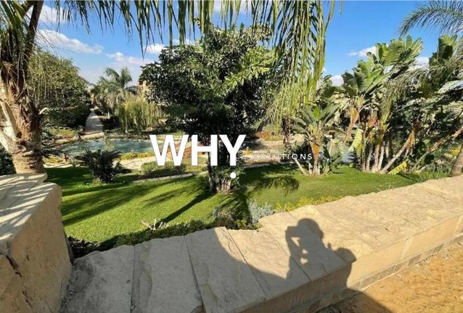 61442445 - صورة العقار 3