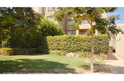 Apartment - 2 Bedrooms - 2 Bathrooms for sale in Palm Parks   Palm Hills - South Dahshur Link - 6 October City - Giza