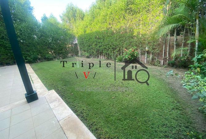 55253272 - Property Image 2