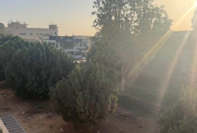 99798113 - صورة العقار 3