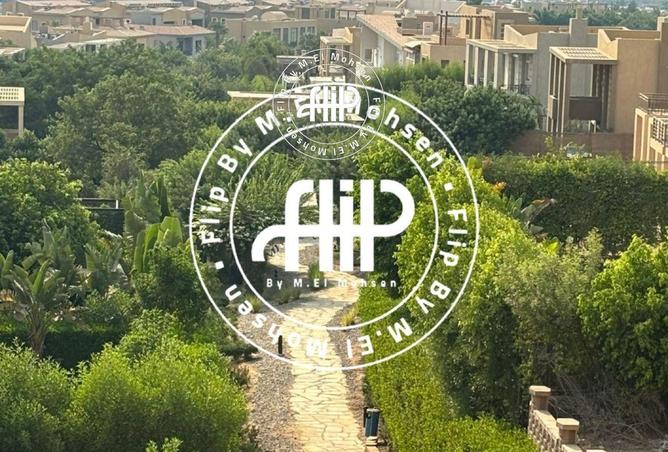 52970439 - صورة العقار 2