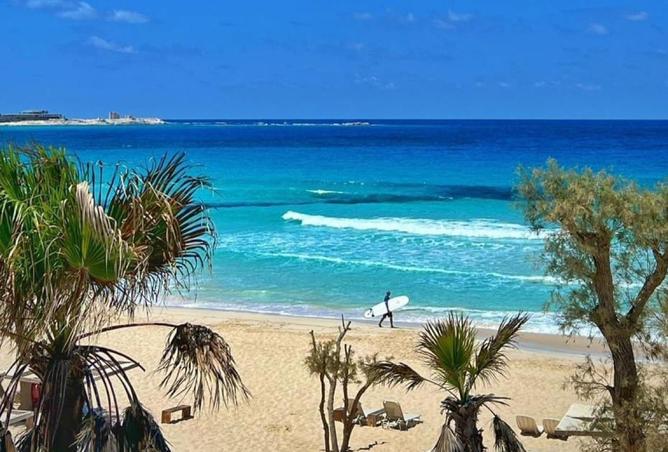 8638715 - الصورة الرئيسية للعقار