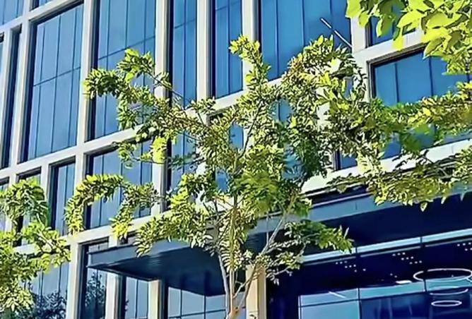 8494810 - الصورة الرئيسية للعقار