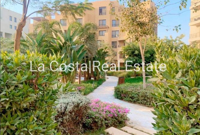 53730508 - صورة العقار 3