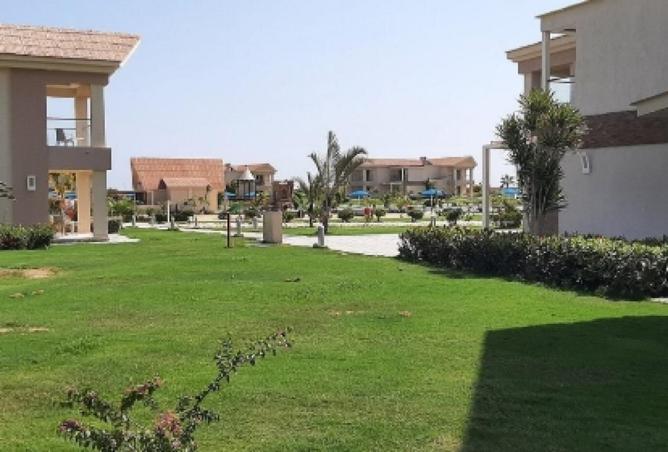 67997939 - صورة العقار 3