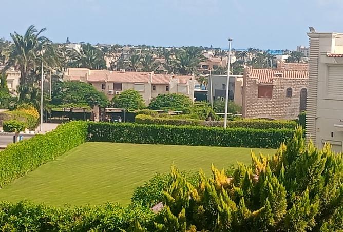 97991199 - صورة العقار 2
