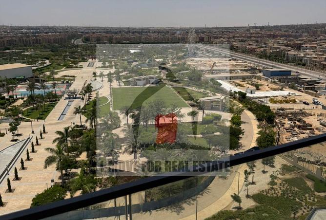 53724677 - Property Image 3