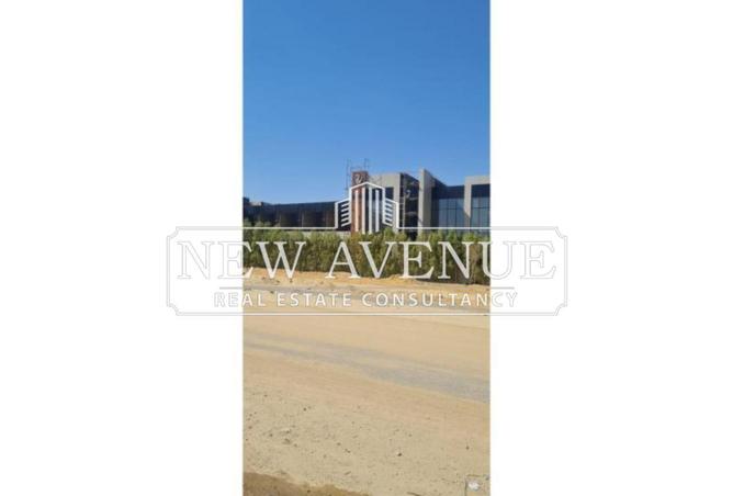 8600240 - صورة العقار 3