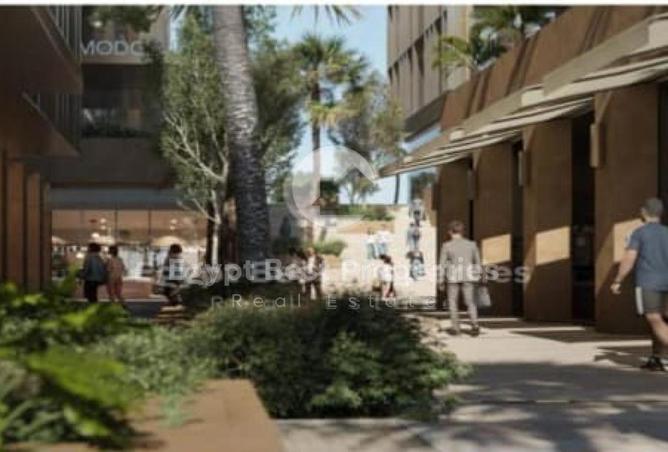 8533967 - Property Image 3