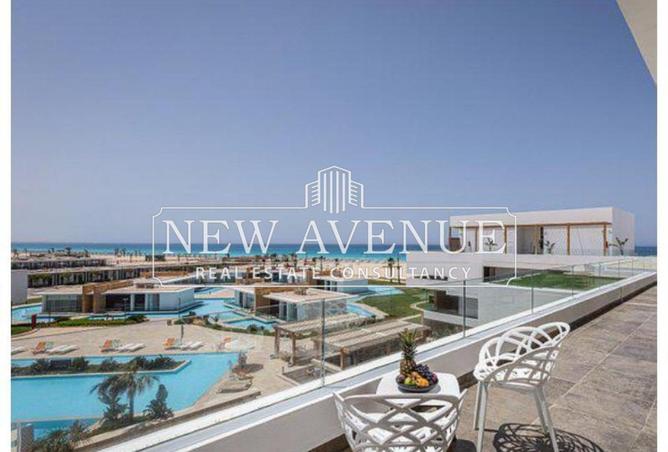 64131180 - Property Image 3