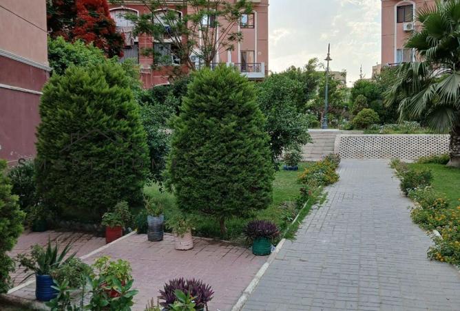 62645341 - الصورة الرئيسية للعقار