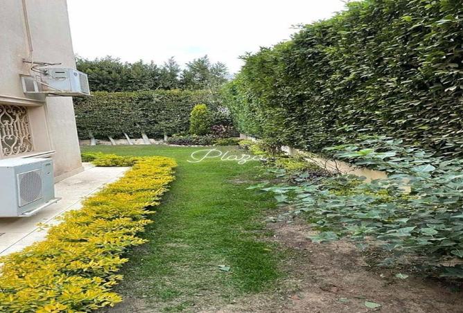 55997977 - صورة العقار 3