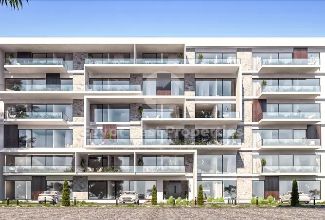 113545914 - Property Image 3