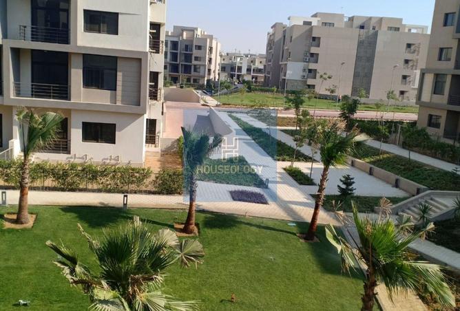 55509917 - صورة العقار 2