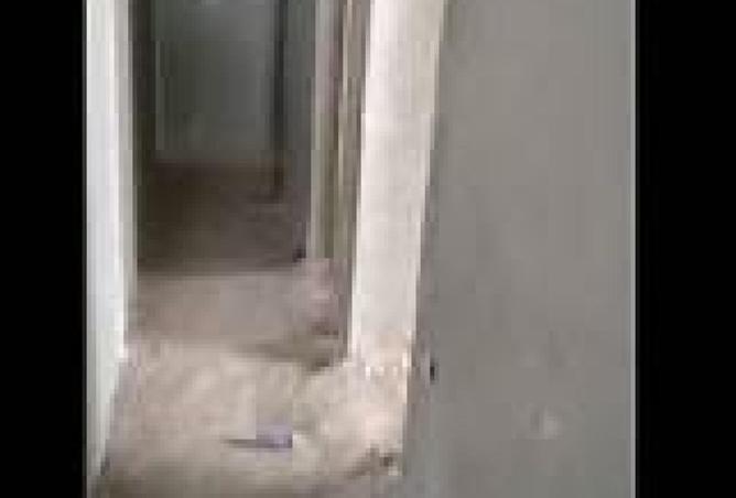 88131226 - صورة العقار 3