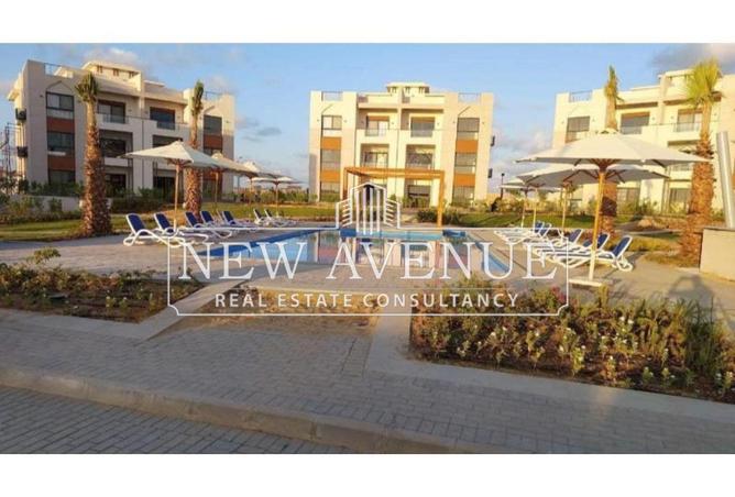 63141663 - Property Main Image