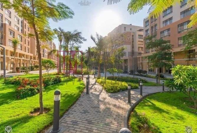 56505057 - Property Image 2