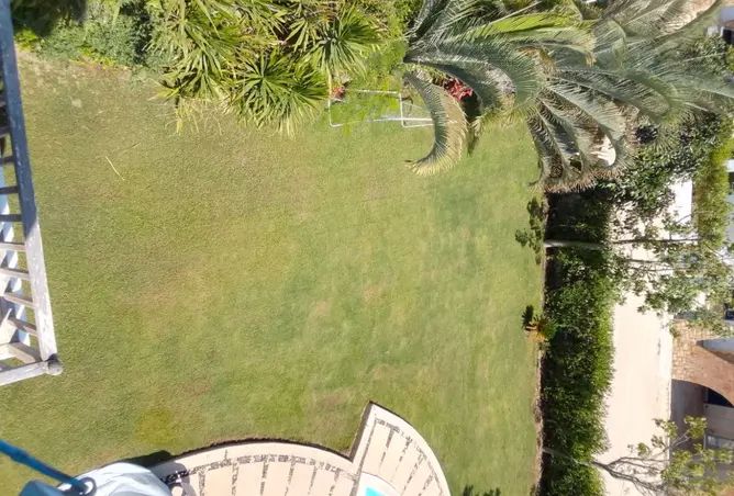 111591084 - صورة العقار 3