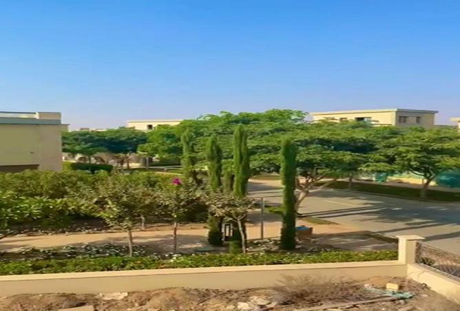 56505851 - Property Image 3