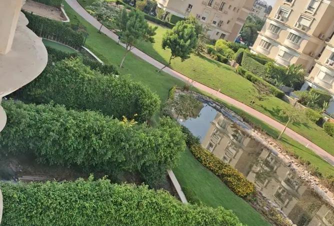 118282795 - صورة العقار 3