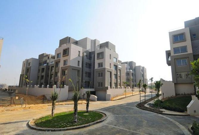 64391525 - Property Image 2