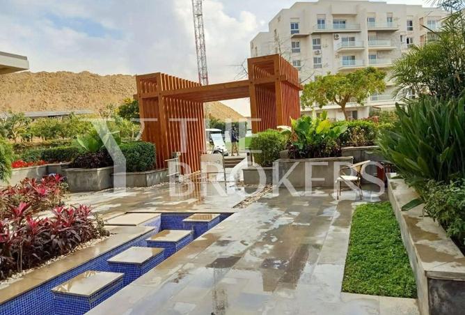 52723327 - Property Image 3