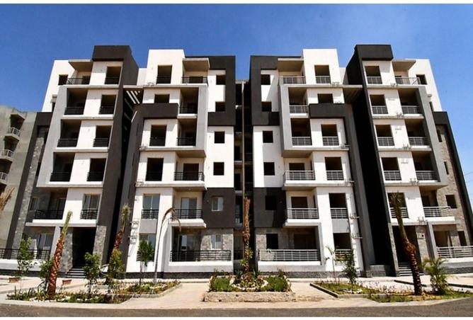 101786854 - Property Image 3