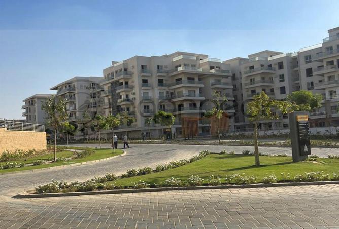 81839370 - Property Image 3