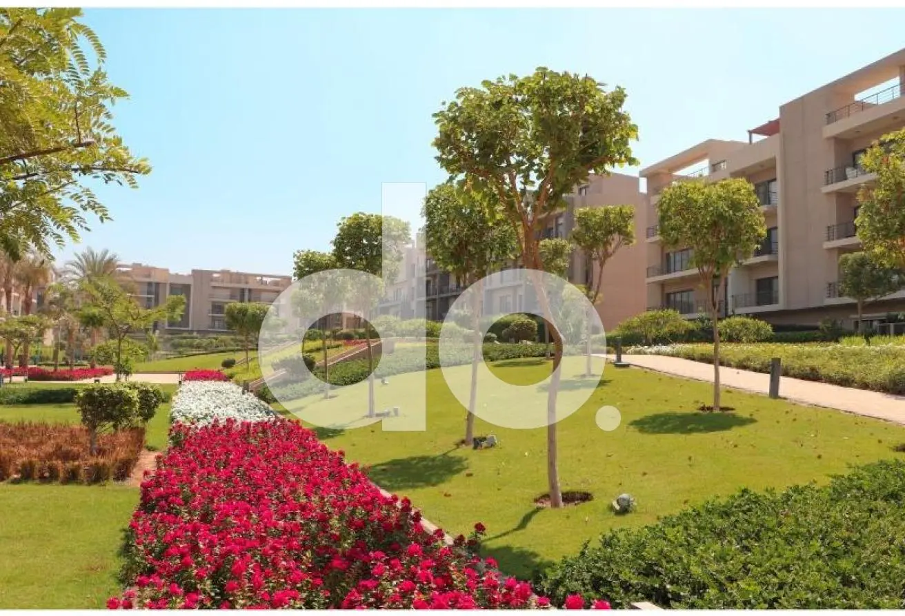 111313239 - Property Main Image