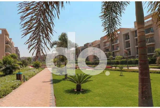 111313239 - Property Image 3