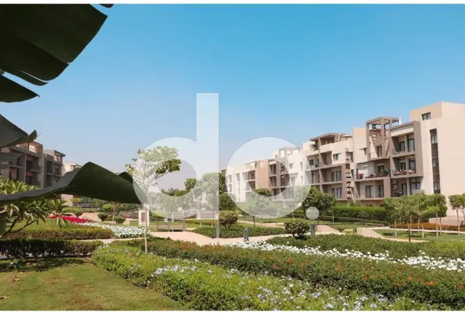 111313239 - Property Image 2